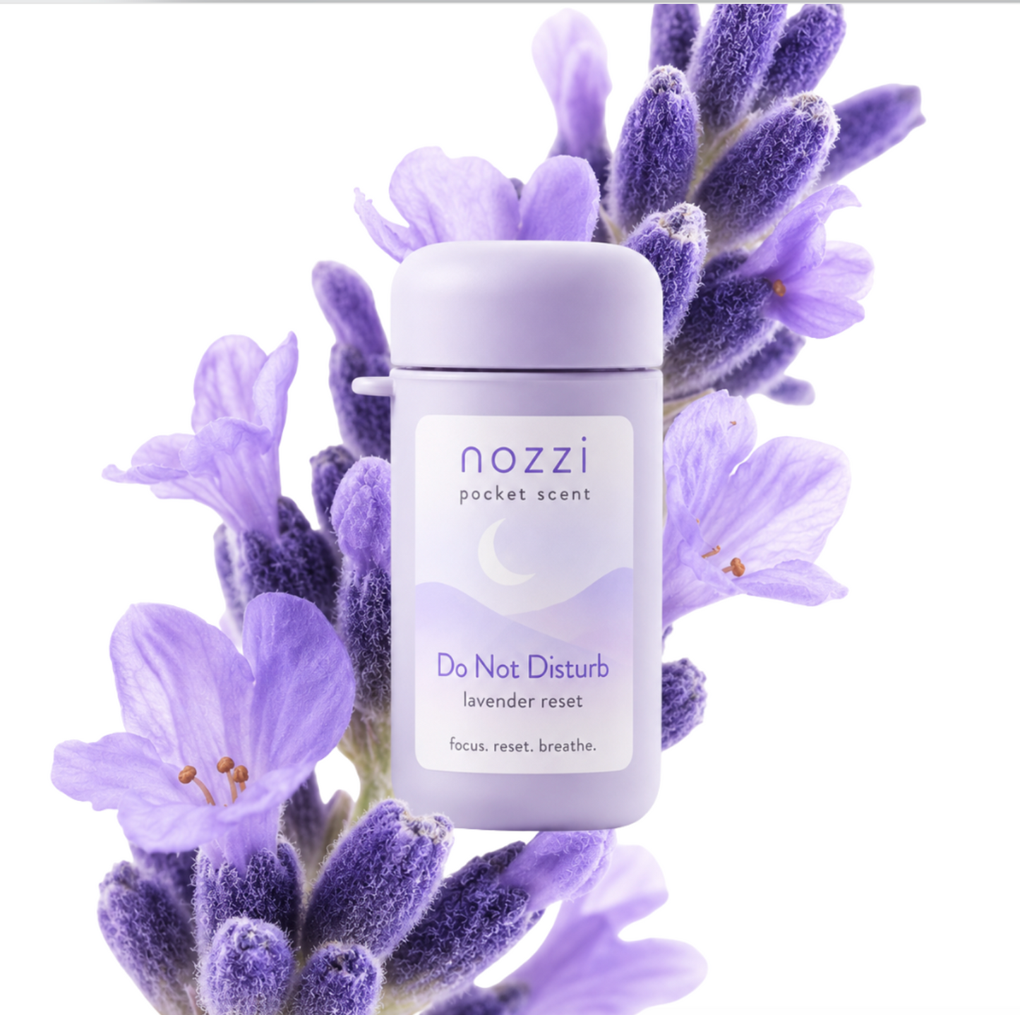 Nozzi - Do Not Disturb